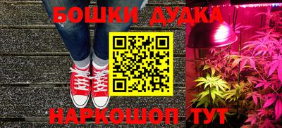 индика Таганрог