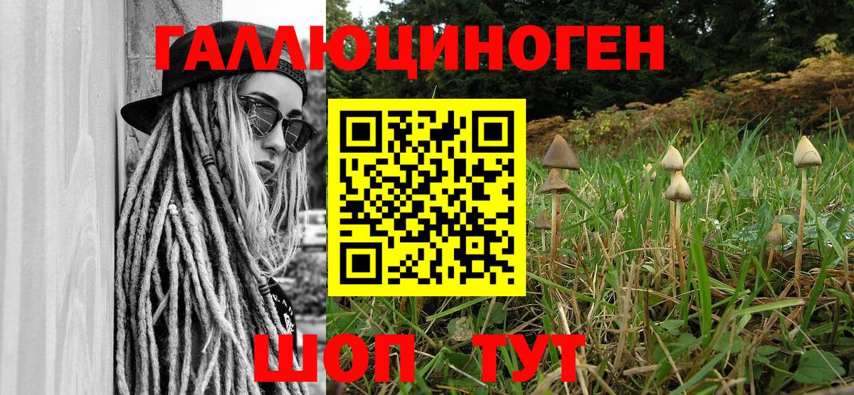 Псилоцибиновые грибы мухоморы Великий Устюг