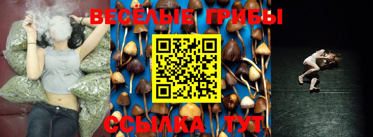 Великий Устюг  Псилоцибиновые грибы мицелий  Вход с VPN 